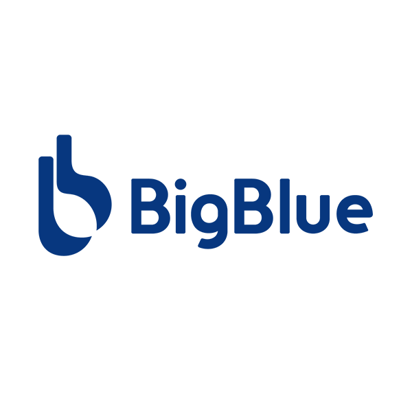 BIGBLUE Logo